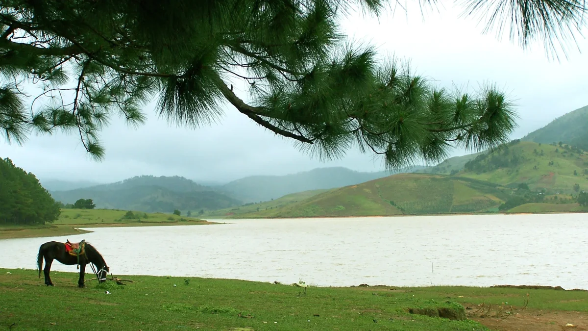Hồ Đankia Đà Lạt